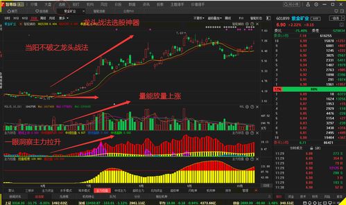 小资金炒股做大唯一的(小资金怎么炒股最好)