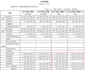 利润表亏损太多怎么调整为正(利润表亏损所得税怎么算)