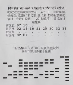 大乐透容易中奖号码组合(大乐透必中组合)