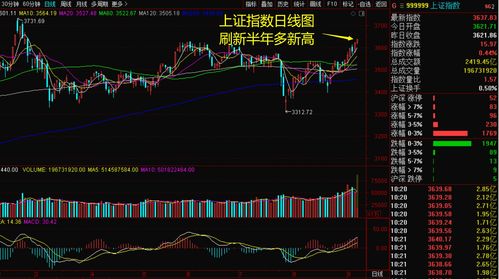 炒股养家真实姓名(炒股养家游资手法总结)
