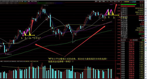 区分a股b股h股的条件是(a股b股h股是什么意思)