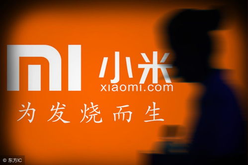 网赌其实可以赢(网赌有没有破解的方法)