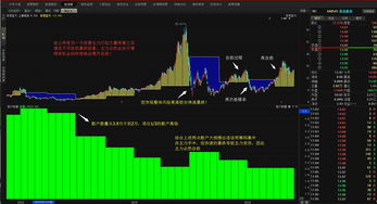 想了解股票怎么入手(怎样股票入门基础知识)