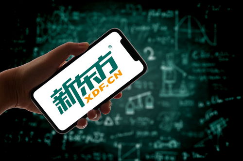 俞敏洪新东方股票代码(新东方股价从1400跌到60)