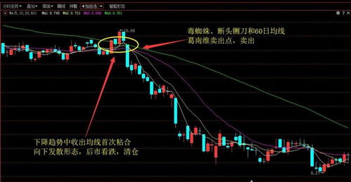 一位炒股者的终极感悟(炒股感悟 个人)