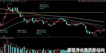 10股派10元是大利好吗(10股派11元)