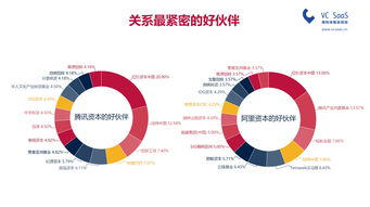 红杉资本是pe还是vc(天使投资vc pe lp gp的区别)