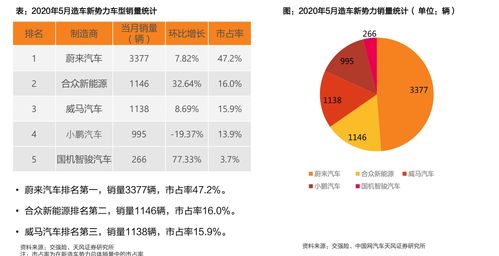 证券股龙头股是哪一只(证券类股票龙头股)