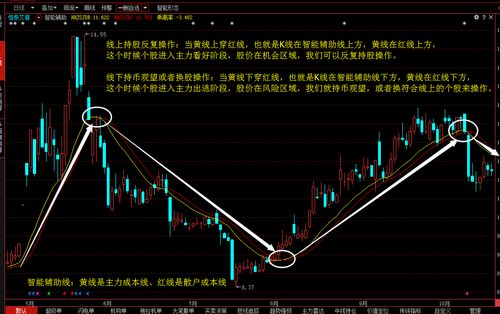 喜欢炒股可以从事的工作(很喜欢炒股)