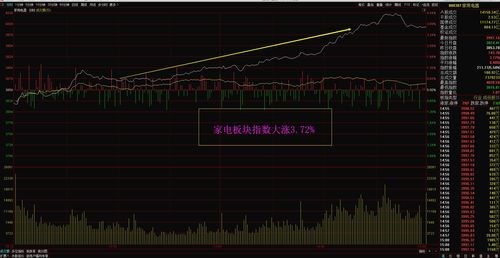 真正炒股高手有多厉害(真正的炒股高手都是怎样的人)