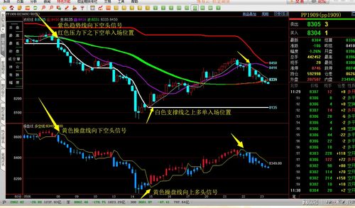如何查几年炒股总盈亏(炒股怎么看历史盈亏)