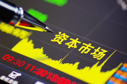 中国上市公司全球龙头(中国上市公司全球龙头八家)