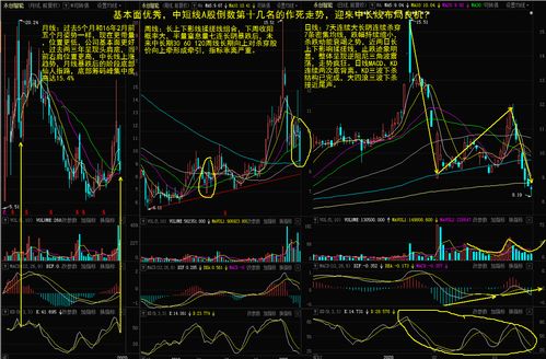中长线优质股票排名(2021中长线最好的20只股票)
