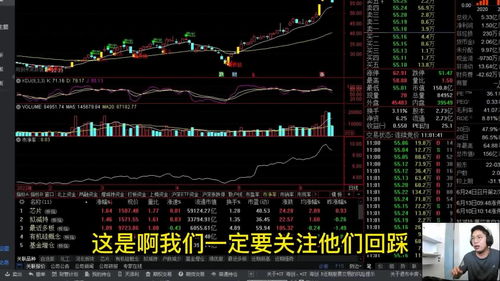 股票新手怎么学炒股(新手股票入门怎么学)