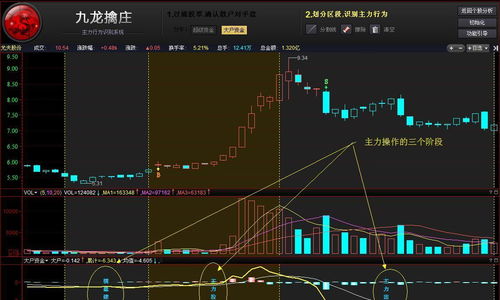 如何看懂主力资金(如何看懂主力资金动向)