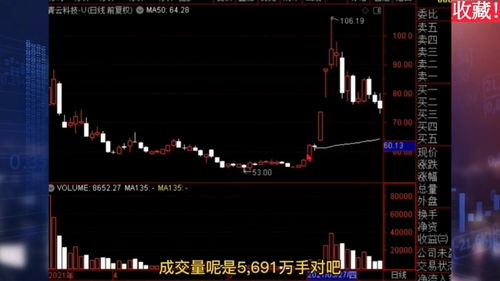 股票怎么样做T才不会做飞(股票做t有几种方法)