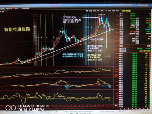 炒股大牛会有人挖走吗(炒股大牛是谁)
