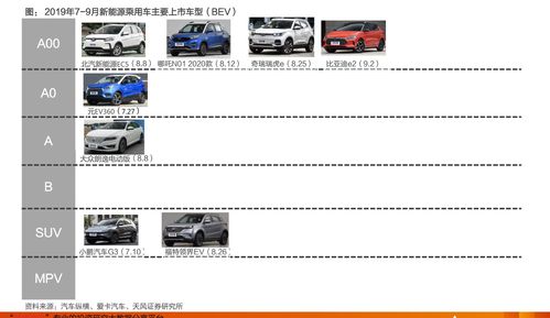 申购9000股中签后有多少股(申购中签了1000只但是只要10可以吗)
