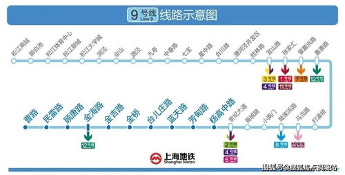月入30万什么水平(月入30万什么水平算高)