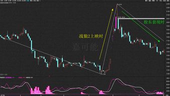 上市公司向大股东定增(上市公司向大股东定增募资还债)