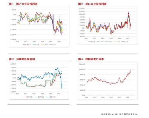 股票新手怎么玩(怎么学会炒股票新手入门)