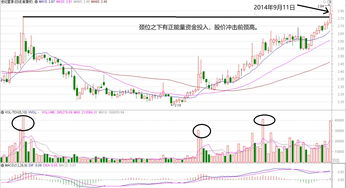 跟随主力资金买股可以吗(跟随主力资金买股可以吗知乎)