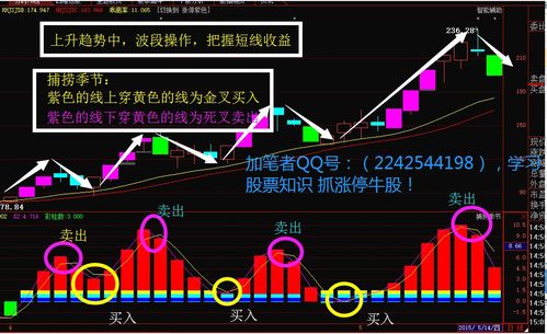 炒股十大战法(炒股有哪些技术战法)