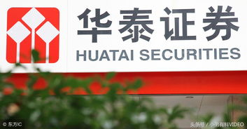 中国十大证券公司(中国十大证券公司排名)
