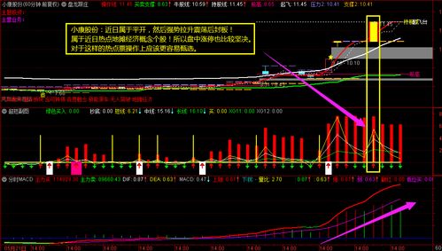主力拆单买入(主力大单拆分是怎么拆分的)