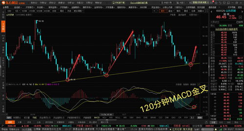 688股票怎么买不了(688599是什么股票,为什么我无法买入?)