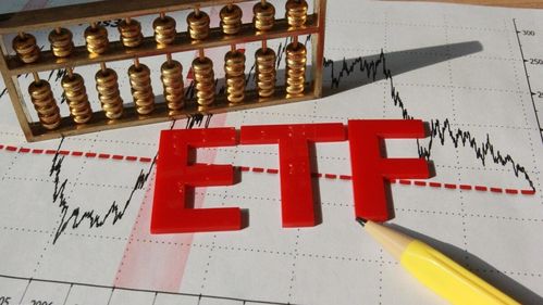 免5证券公司开户(证券开户免5怎么弄的)