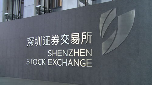 深交所上市意味着什么(深交所上市的是a股吗)