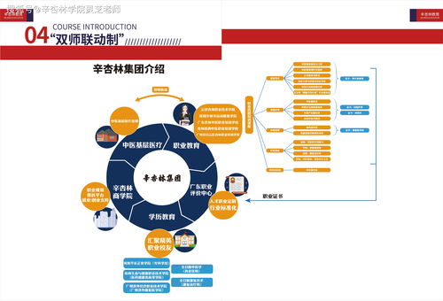想学炒股有没有培训班(手机怎么炒股票新手入门)
