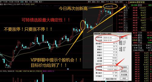 股票群老师推荐牛股(我想加入股票交流群)