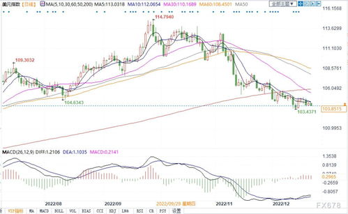 2023有望翻二十倍的低价股有哪些(2020年有望翻倍的股票)