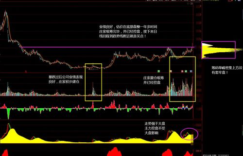 股票t0平台诈骗曝光(股票t0交易技巧图解)