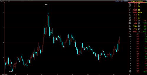 2009年什么股票涨的最好(09年上涨的股票)
