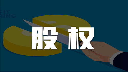 一个人投资的公司叫什么(一人投资公司只能有一个吗)