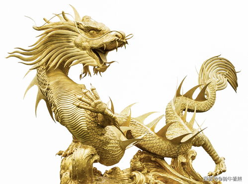 如何找龙头板块和龙头股(怎么找出板块龙头股)
