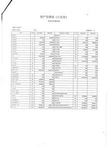 利润表一直处于亏损状态(利润表显示)