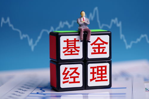 四大银行倒闭国家管吗(银行破产只有四大行赔50万么)
