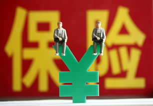 股票投资面临的风险有哪些(股票投资的风险包括哪些类型)