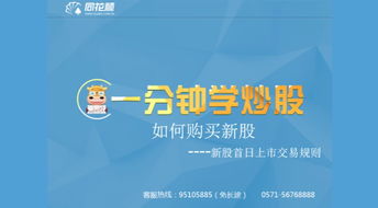主板新股上市首日交易规则(主板新股上市首日能买得到吗)