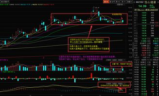 a股交割交收时间(股市交割日是什么意思)