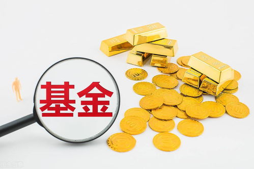 理财怎么买才能赚钱(学理财的入门基础知识)