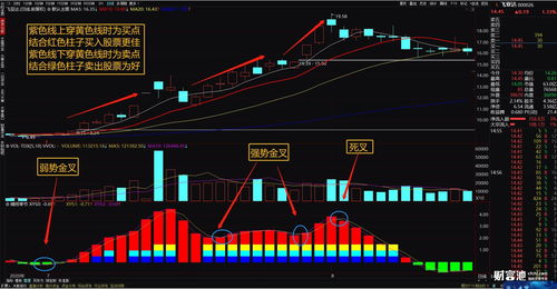 通达信颜色指标源码(通达信rgb颜色码)