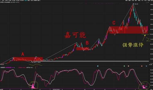 今天行情怎么样(今天行情怎么样养好)
