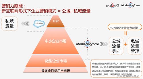 在具体实施投资决策之前,投资者(投资者在进行投资时)