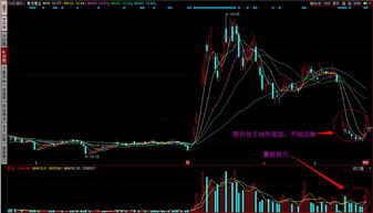 主力流入与主力流出准确吗(主力流入与主力流出是真的吗)