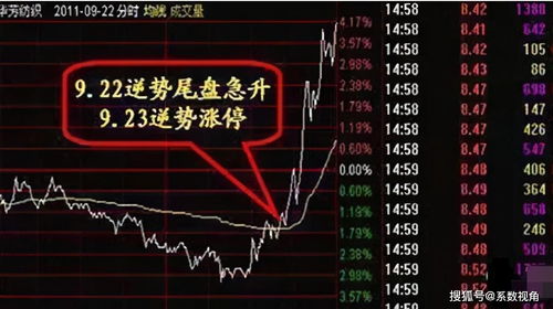 主力亏损较大的股票能买吗(主力亏损大好还是小好)